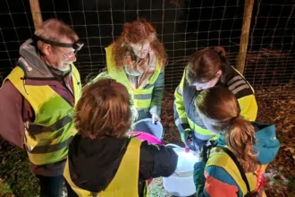 Zonhoven residents use WhatsApp for annual toad crossing