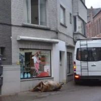 Zottegem apartment fire