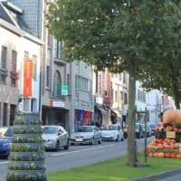 Zottegem plans Heldenlaan redevelopment in 2026