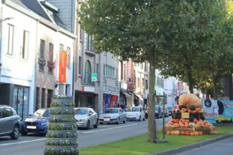 Zottegem plans Heldenlaan redevelopment in 2026