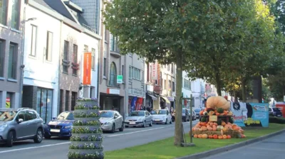 Zottegem plans Heldenlaan redevelopment in 2026