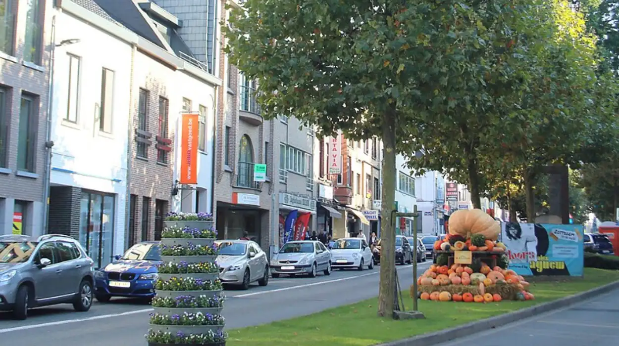 Zottegem plans Heldenlaan redevelopment in 2026