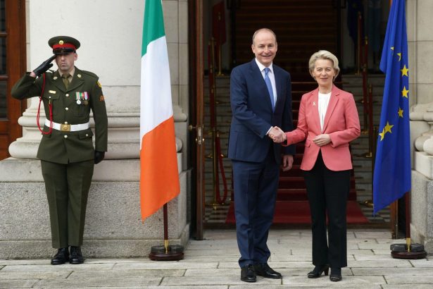 Irish flag displayed with European Union flag during Council Presidency