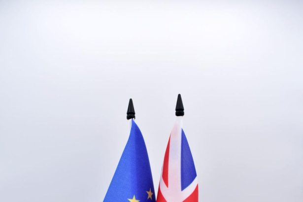 Debate grows over possible UK return to the European Union
