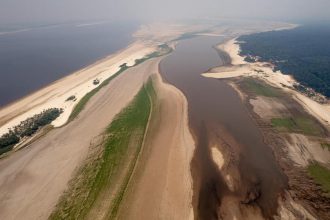 El Niño Amazon drought threatens rivers and rainforest across Brazil