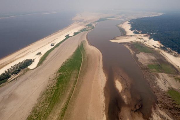 El Niño Amazon drought threatens rivers and rainforest across Brazil