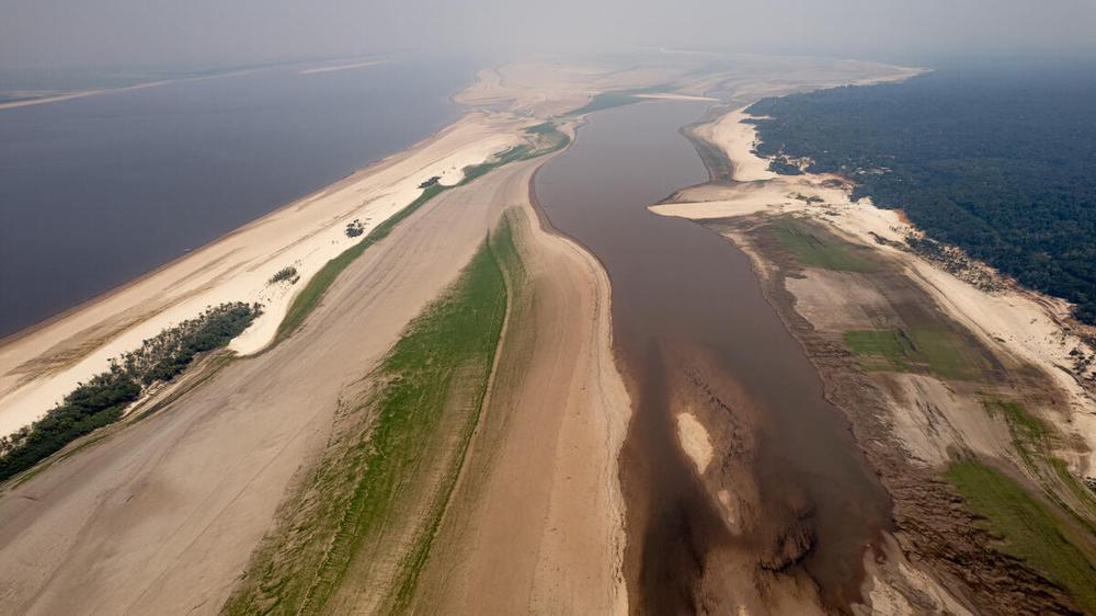 El Niño Amazon drought threatens rivers and rainforest across Brazil