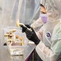 NHS magic mushrooms depression research in clinical laboratory