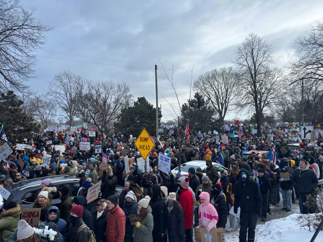 Minnesota Anti ICE Protests outside government building