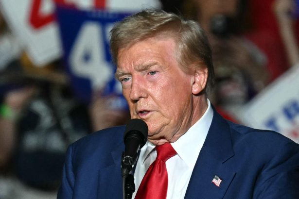 Voters participate in elections amid Trump election claims controversy