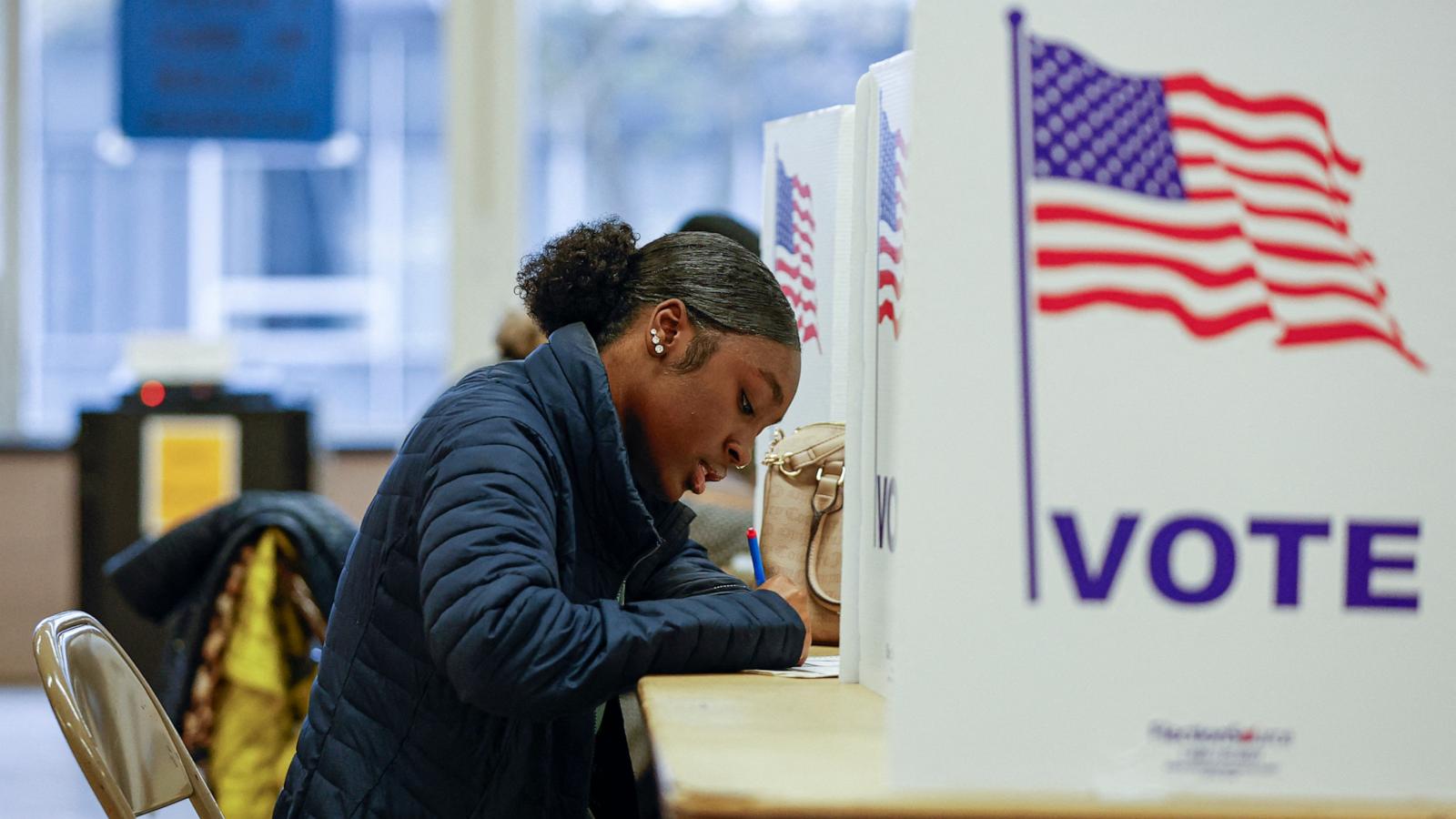 US midterm elections raise debate on democratic stability