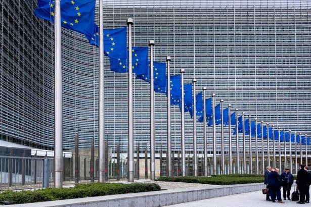 European Union flags representing EU new global order leadership