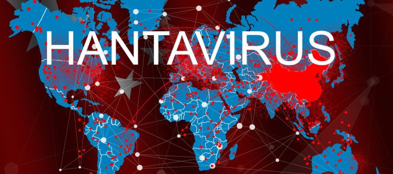New Hantavirus Case Suspected as Remote Island Faces Emergency Health Alert
