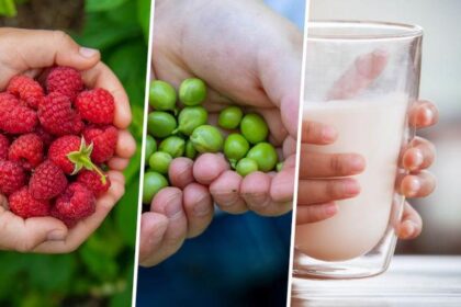 EU school fruit and milk scheme supporting healthy diets