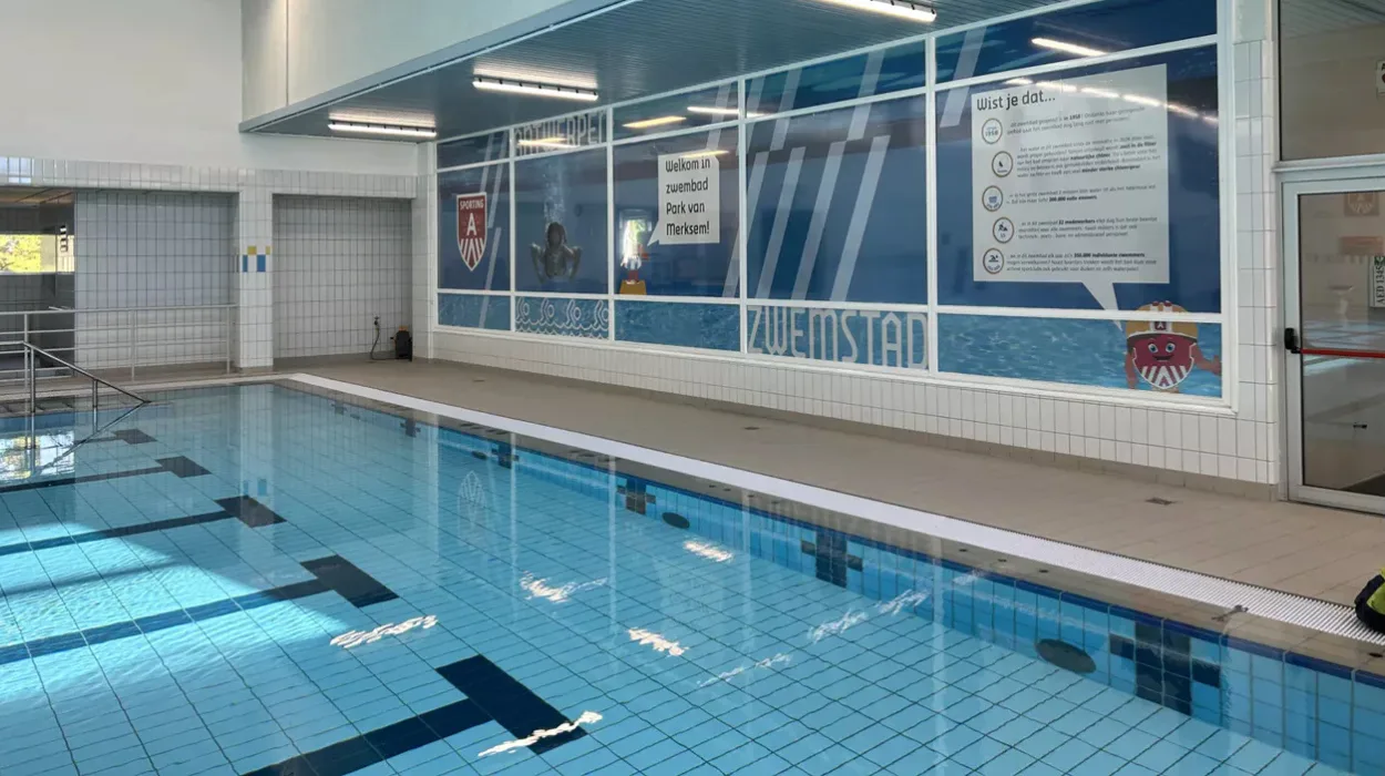 park van Merksem pool rennovation