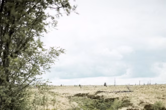 High Fens landscape at centre of Belgium wildfire response concerns