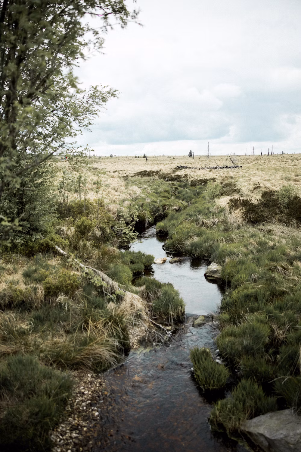 High Fens landscape at centre of Belgium wildfire response concerns