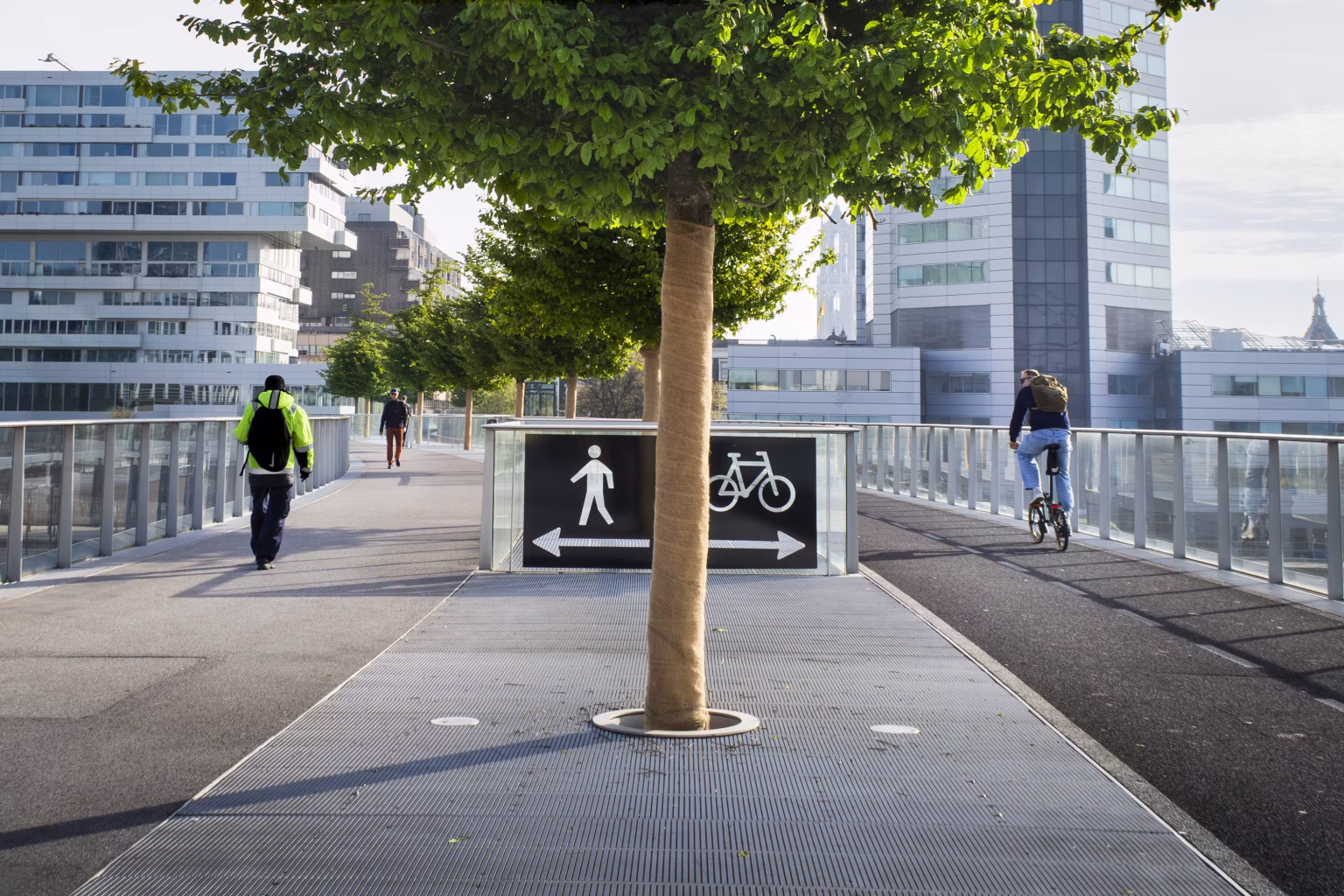 Brussels Car-Free Sunday highlights cycling and sustainable travel across the Belgian capital