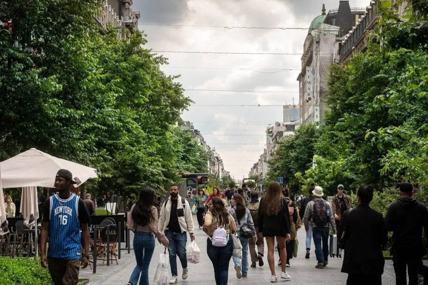 Brussels city street as police assess anonymous TikTok protest announcements and public safety concerns.