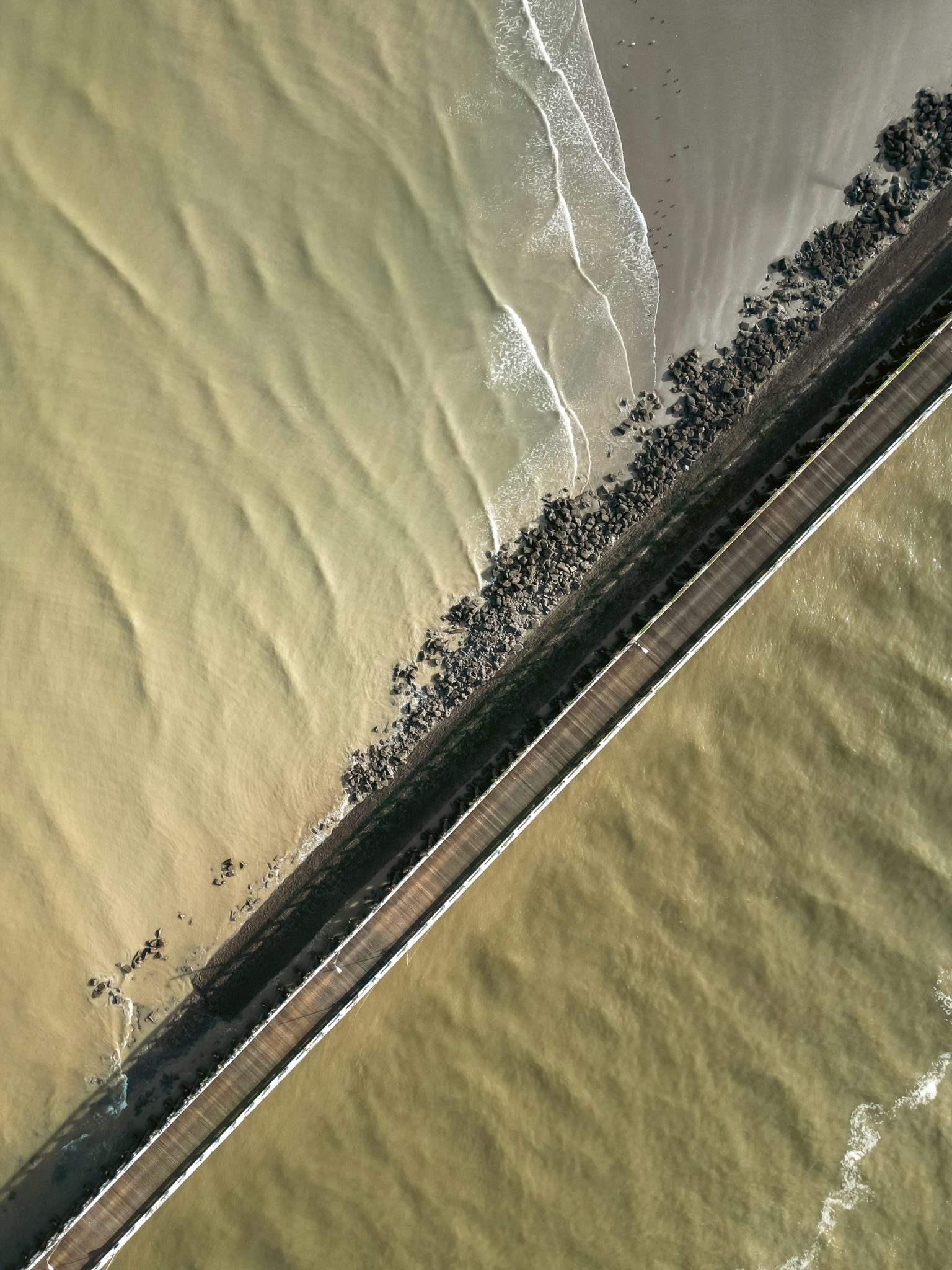 Brussels BBNJ secretariat campaign highlights Belgium’s role in global ocean protection
