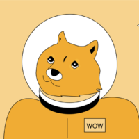 next best crypto presale investment illustration